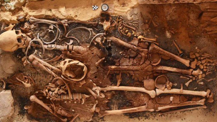18 ancient Egyptian tombs with dozens of gold ‘tongues’ discovered along the Mediterranean coast