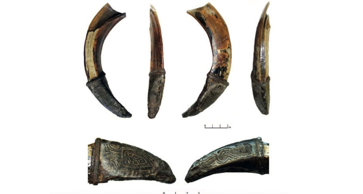 Decorated wild-boar tusk found in Russia may have been medieval warrior’s good-luck charm