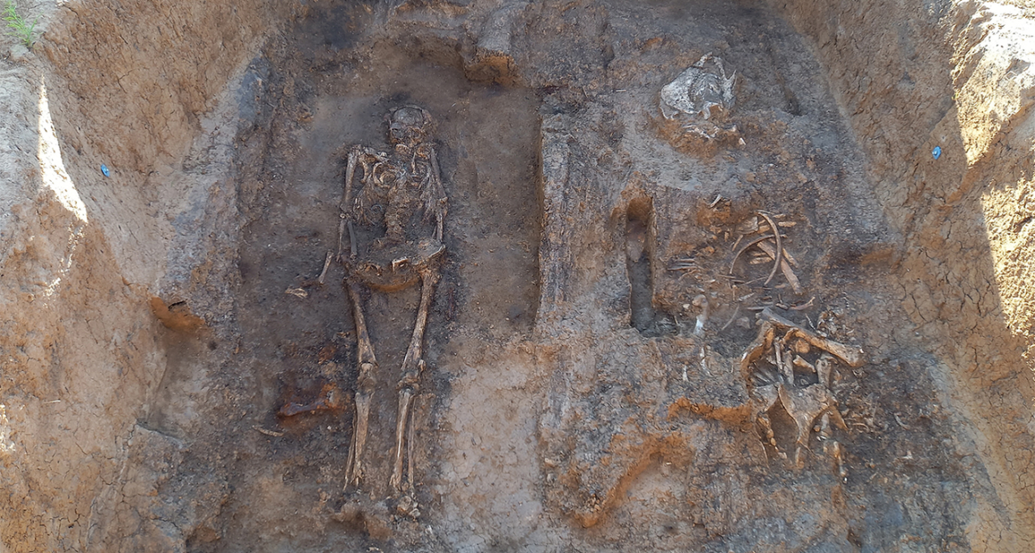 Archaeologists unearth a medieval nobleman buried with his horse and dog in a rare wooden tomb in Russia