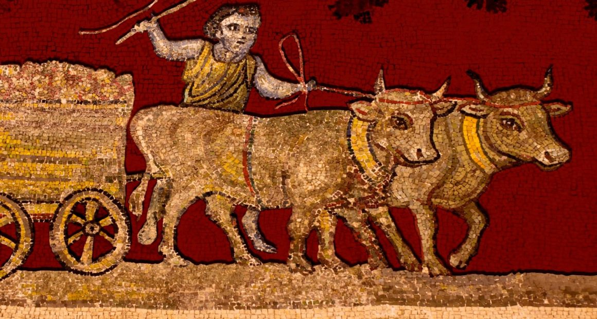 Could you have survived in ancient Rome? (Probably not for very long, according to our expert)