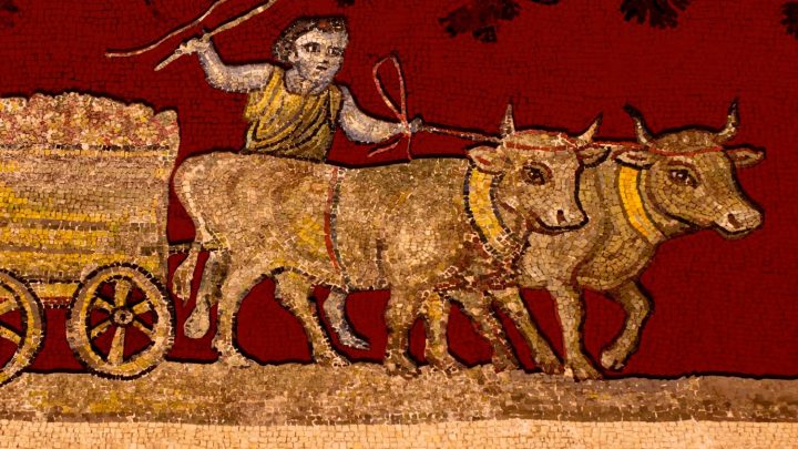 Could you have survived in ancient Rome? (Probably not for very long, according to our expert)