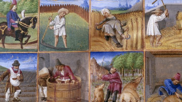 How grim was life as a medieval farmer? Here are 6 things you need to know